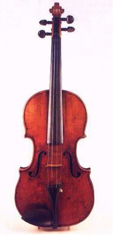 violine